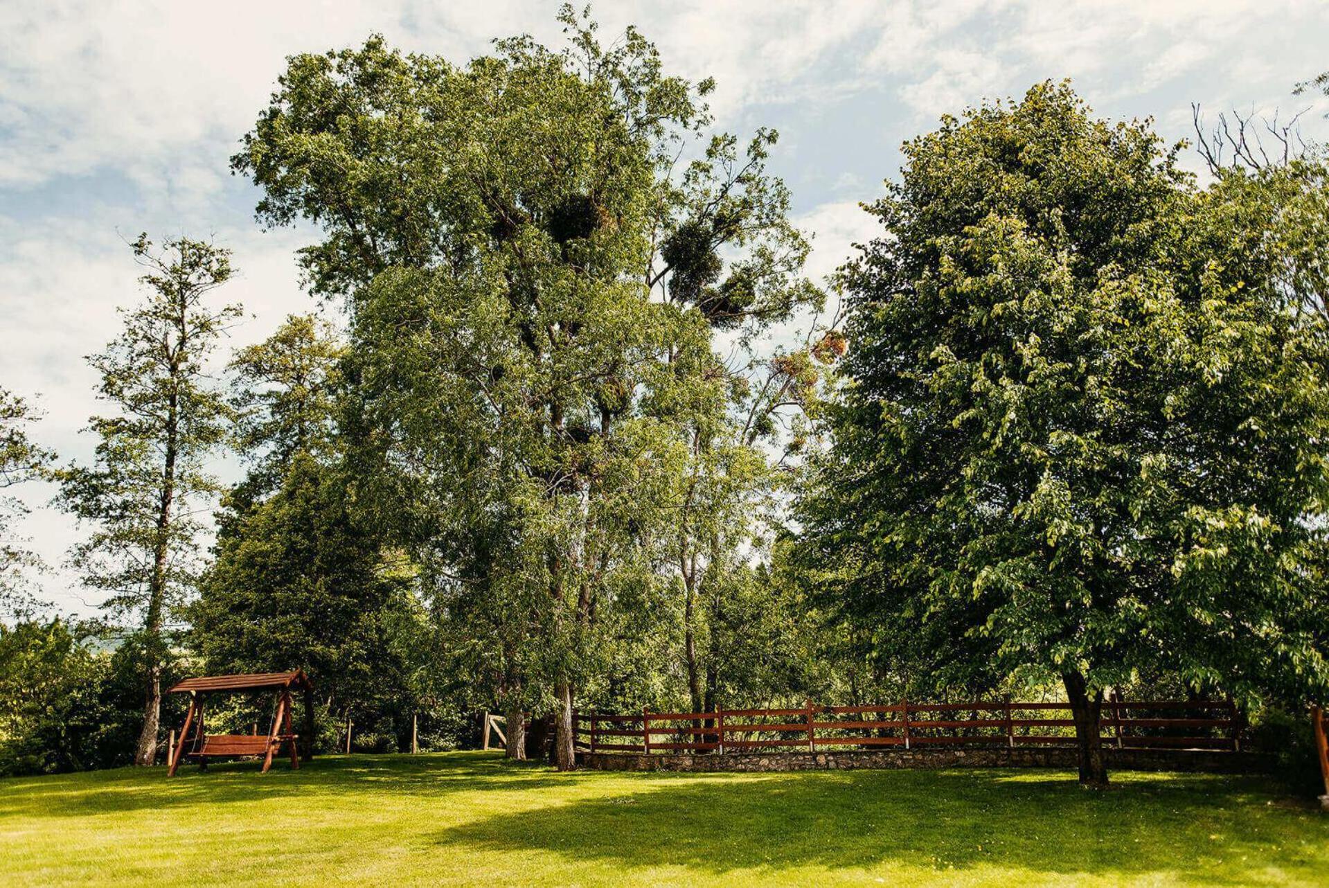 Bed and Breakfast Kakukk Vendéglő Panzió à Bánd Extérieur photo
